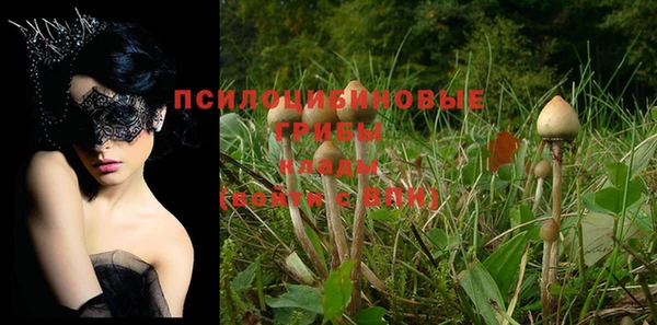 круглые Алексеевка