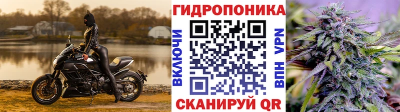 Бошки Шишки Bruce Banner  дарнет шоп  Сибай 
